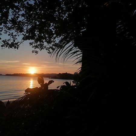 Port Antonio Brian'S Beach House Экстерьер фото