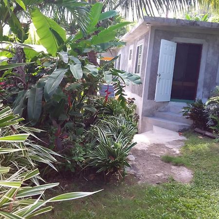 Port Antonio Brian'S Beach House Экстерьер фото