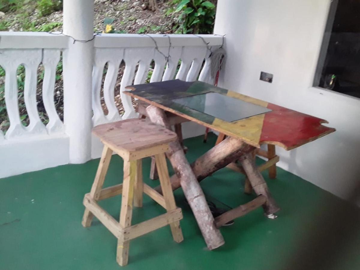 Port Antonio Brian'S Beach House Экстерьер фото