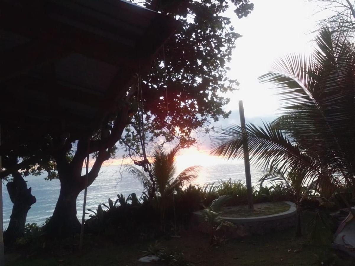 Port Antonio Brian'S Beach House Экстерьер фото