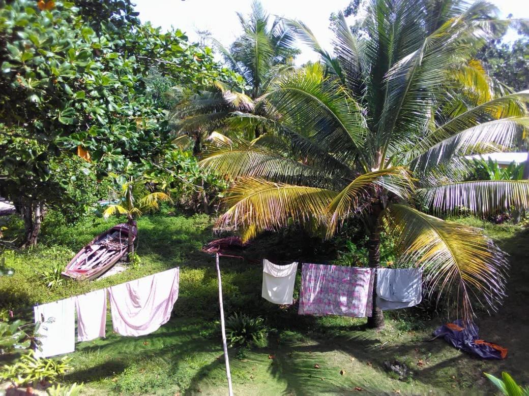 Port Antonio Brian'S Beach House Экстерьер фото