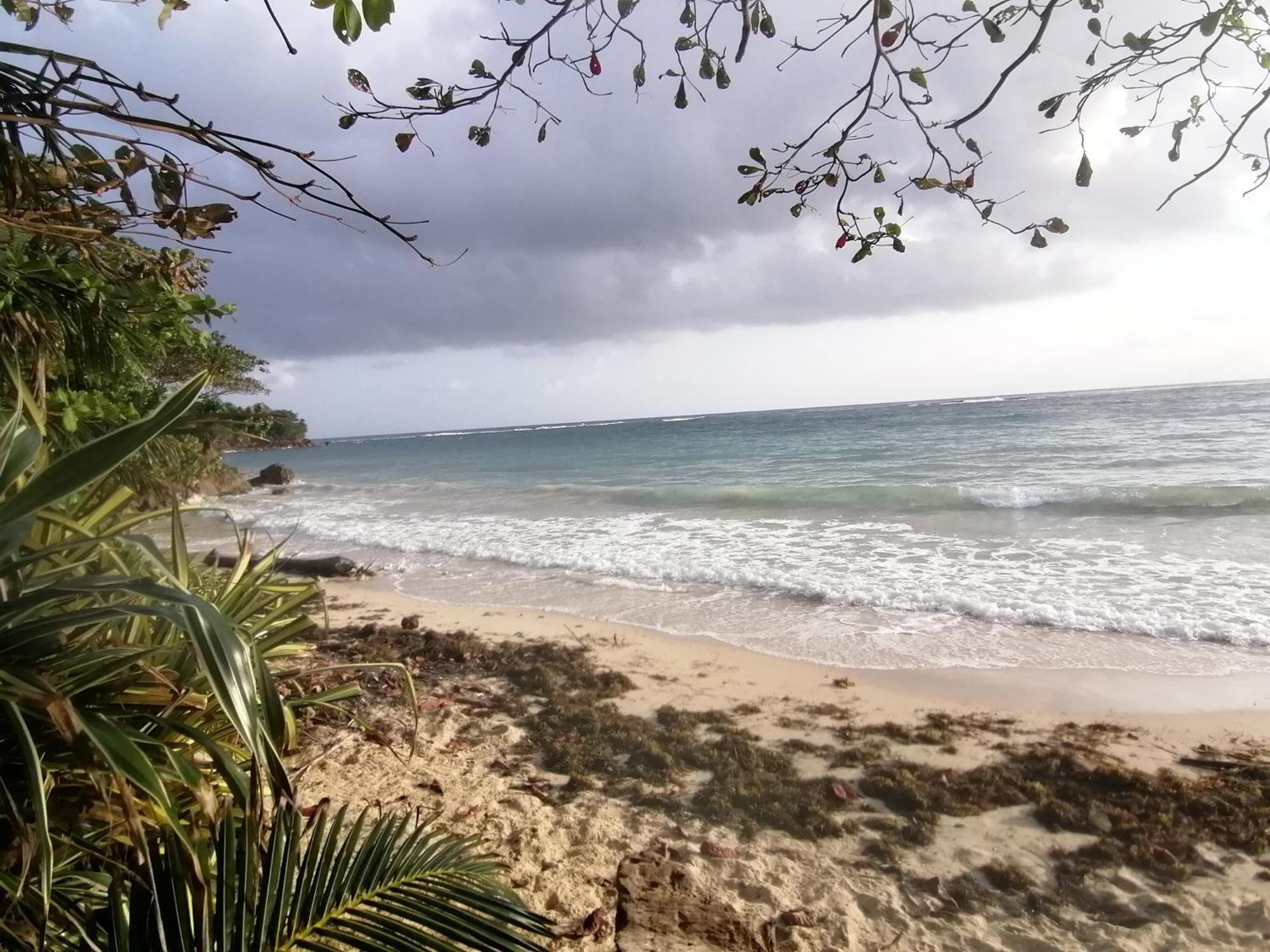 Port Antonio Brian'S Beach House Экстерьер фото