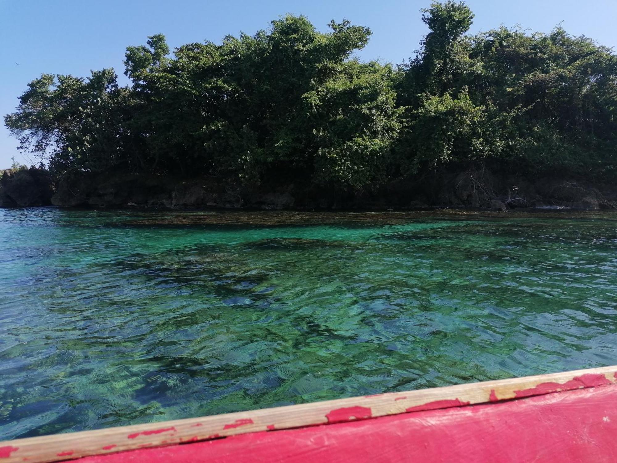 Port Antonio Brian'S Beach House Экстерьер фото