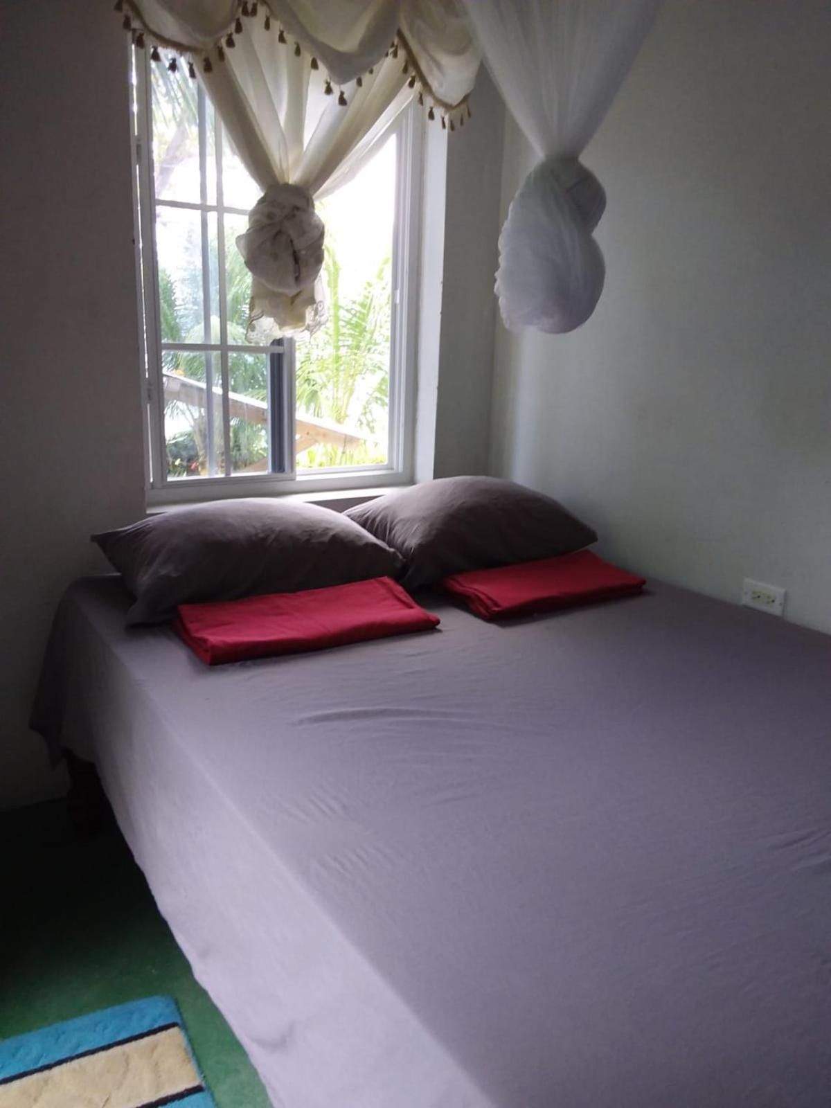 Port Antonio Brian'S Beach House Экстерьер фото