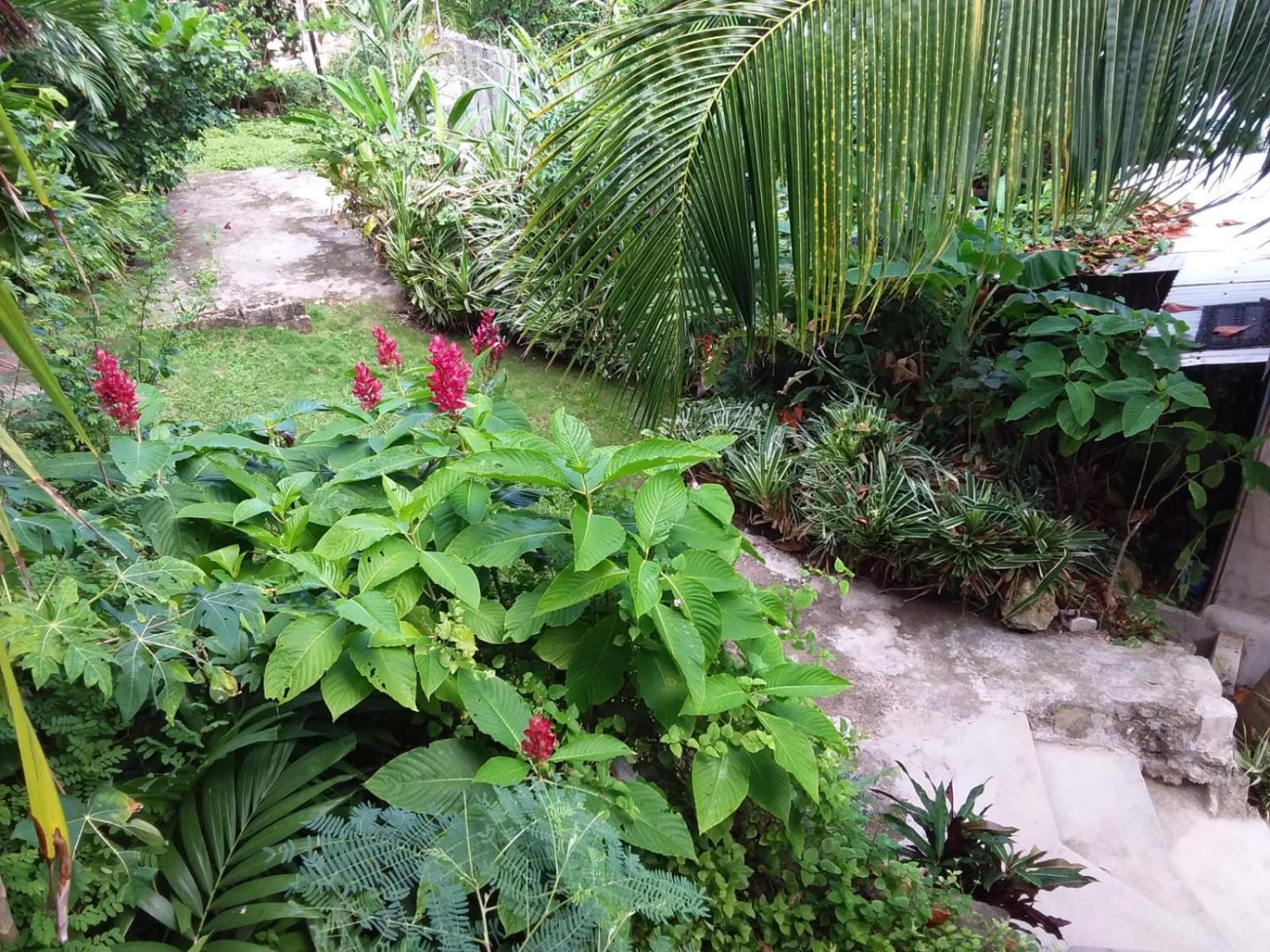 Port Antonio Brian'S Beach House Экстерьер фото