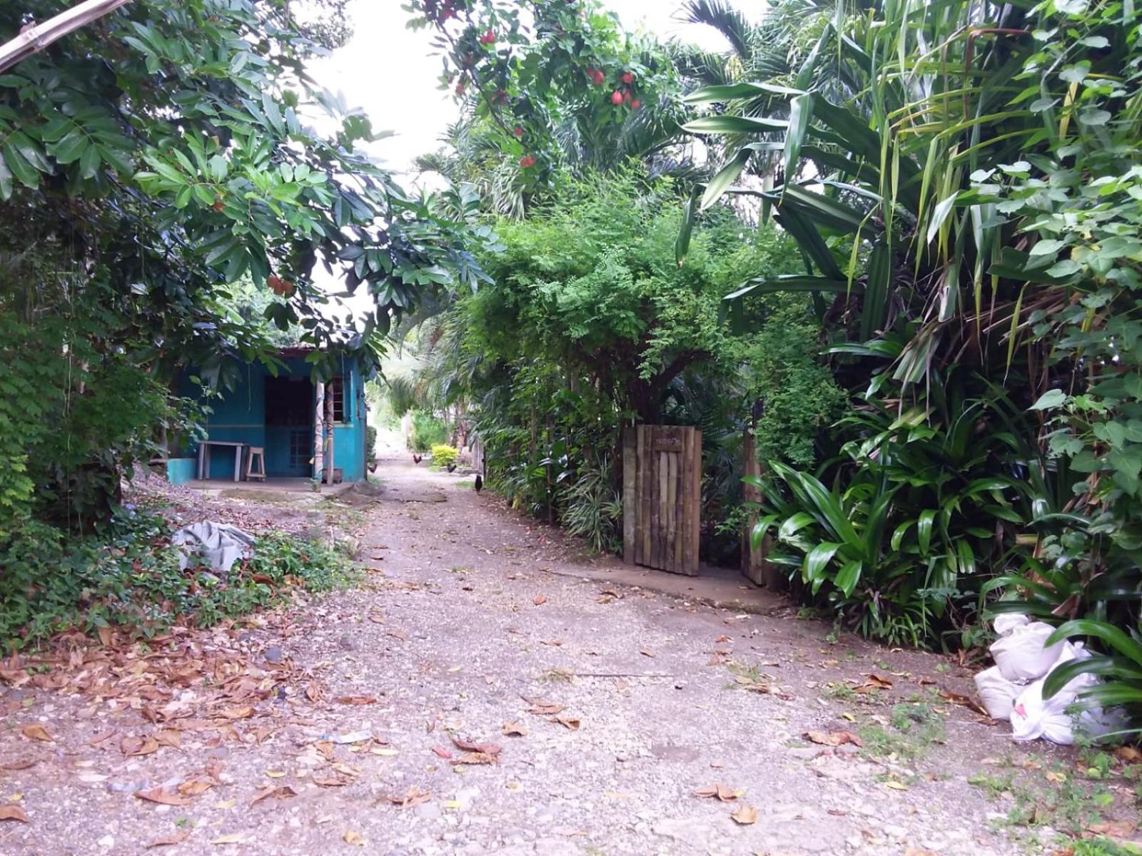 Port Antonio Brian'S Beach House Экстерьер фото
