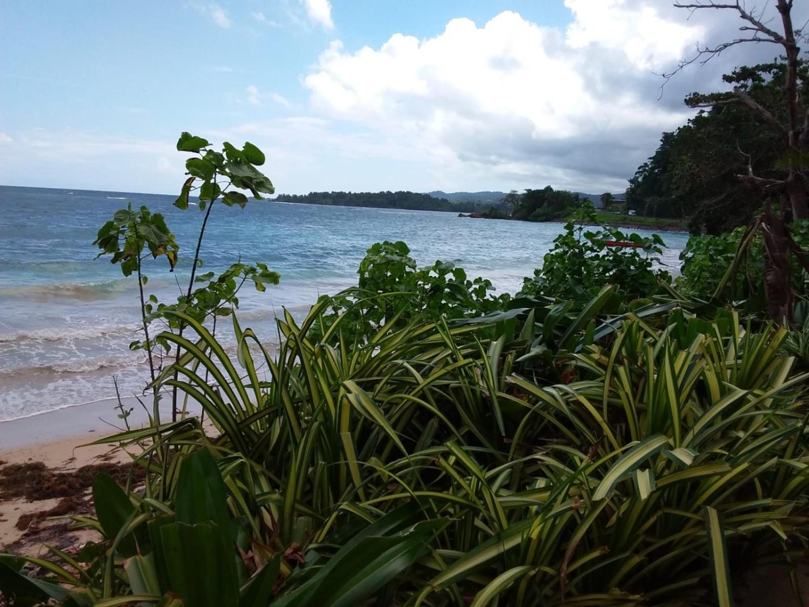 Port Antonio Brian'S Beach House Экстерьер фото