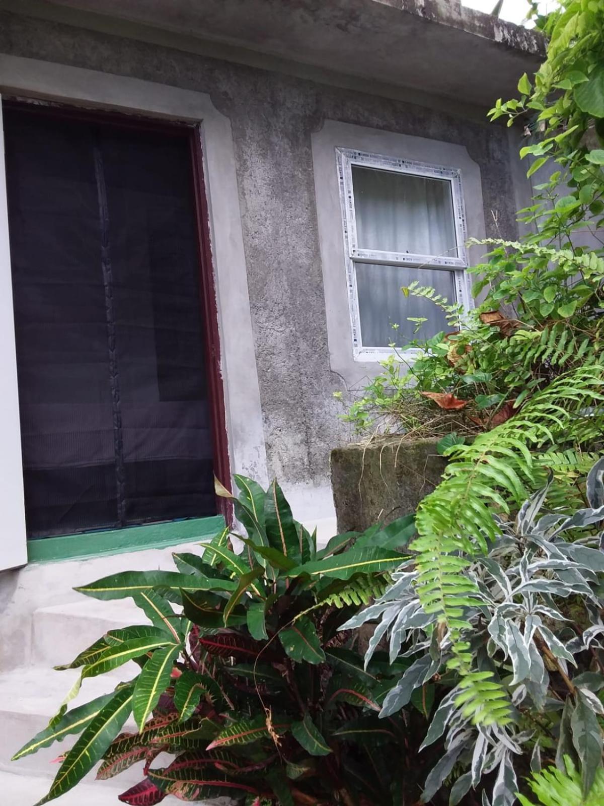 Port Antonio Brian'S Beach House Экстерьер фото